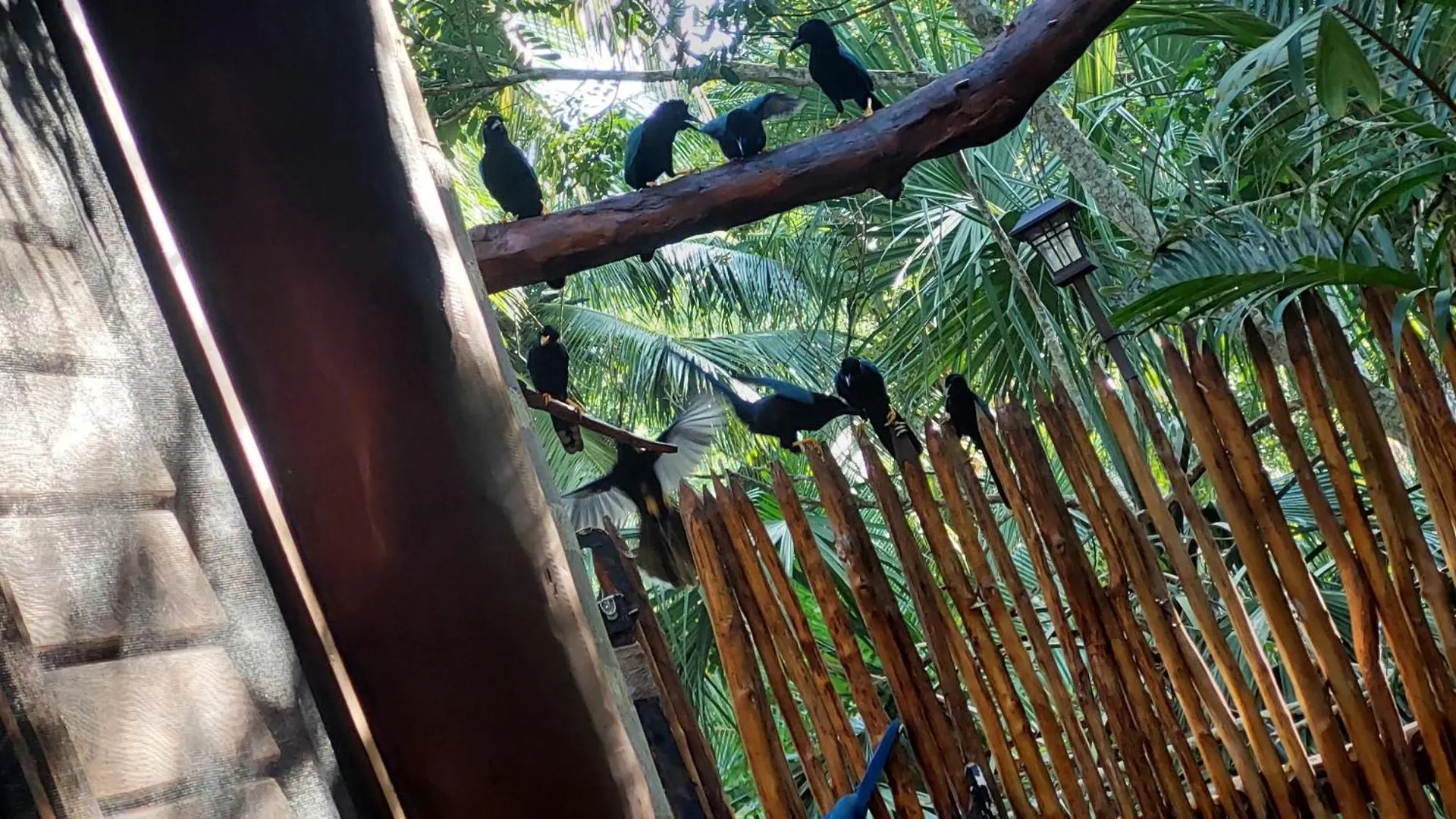 Atmosfera Maya Villa Bacalar 0*,